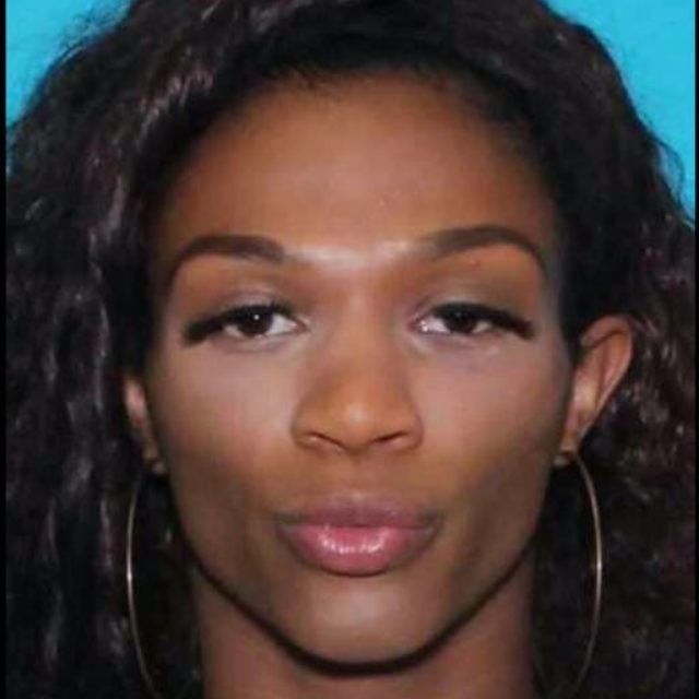 Aidelen Evans, Black Transgender Woman Killed in Texas
