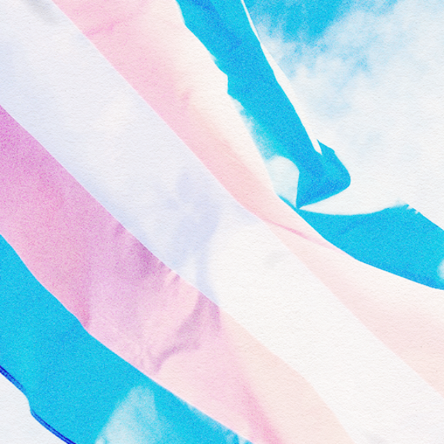 A transgender pride flag, which from top-to-bottom has horizontal stripes in light blue, light pink, white, light pink, and light blue. The flag waves in front of a background of blue sky and white clouds.